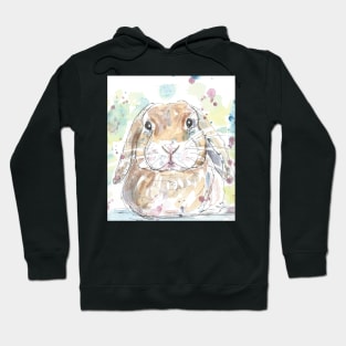 Lop Rabbit Portrait. Hoodie